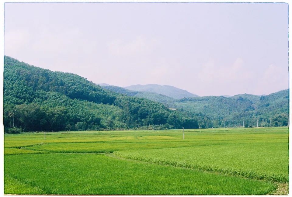 Kho gạo của Lê Hoàng Anh Tuấn